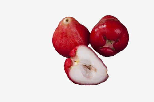 水潤(rùn)多汁的蓮霧 天然健康的美食之選