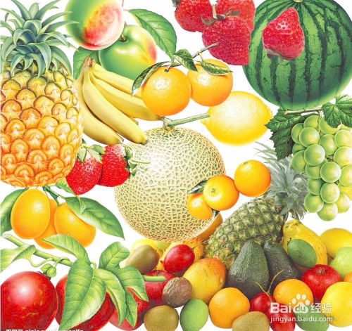 手作時光 精選果品自制健康水果茶片