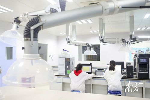 深圳首季高新技術(shù)企業(yè)培育資助突破20.5億元，通訊工程技術(shù)研發(fā)與服務(wù)成重點(diǎn)扶持方向